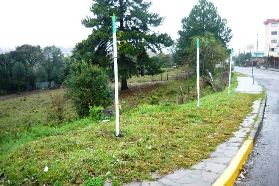 Terreno, no bairro Pioneiro em Caxias do Sul para Comprar