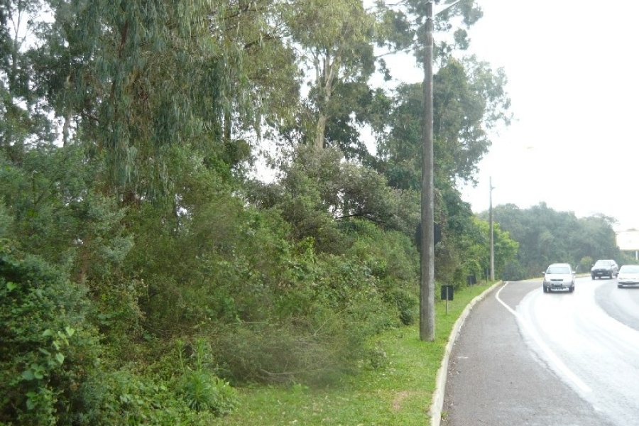 Terreno, no bairro Sanvitto em Caxias do Sul para Comprar