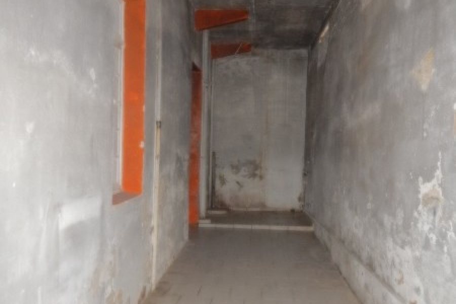 Pavilhão com 563m², no bairro São Pelegrino em Caxias do Sul para Comprar