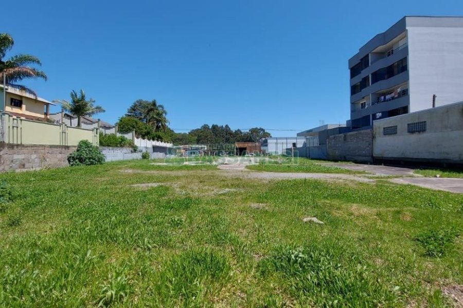Terreno com 2527m², no bairro Bela Vista em Caxias do Sul para Alugar