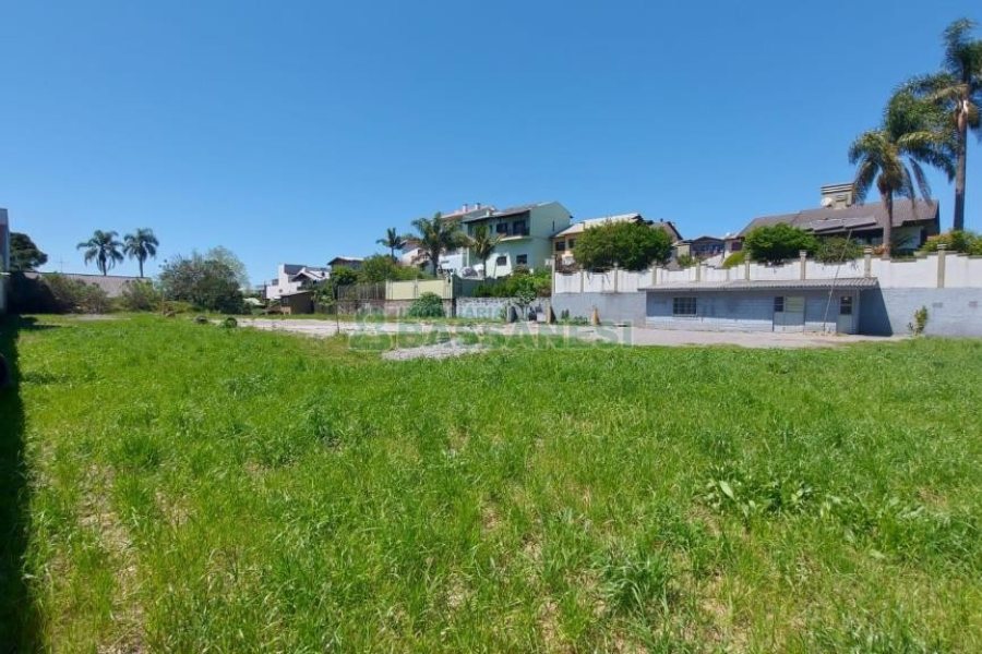 Terreno com 2527m², no bairro Bela Vista em Caxias do Sul para Alugar