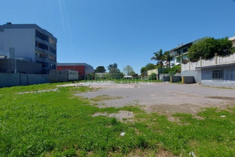 Terreno com 2527m², no bairro Bela Vista em Caxias do Sul para Alugar