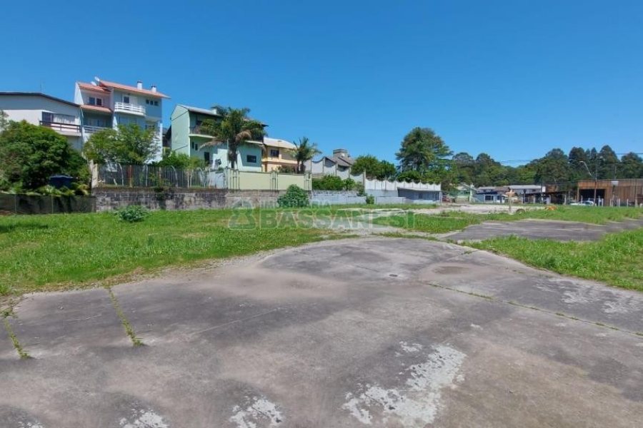 Terreno com 2527m², no bairro Bela Vista em Caxias do Sul para Alugar