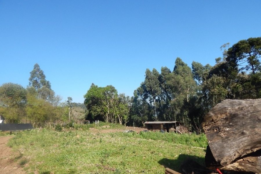 Terreno com 20000m², no bairro Nossa Senhora das Graças em Caxias do Sul para Alugar
