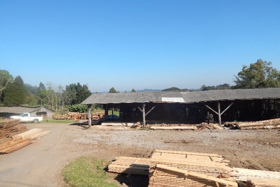 Terreno com 20000m², no bairro Nossa Senhora das Graças em Caxias do Sul para Alugar