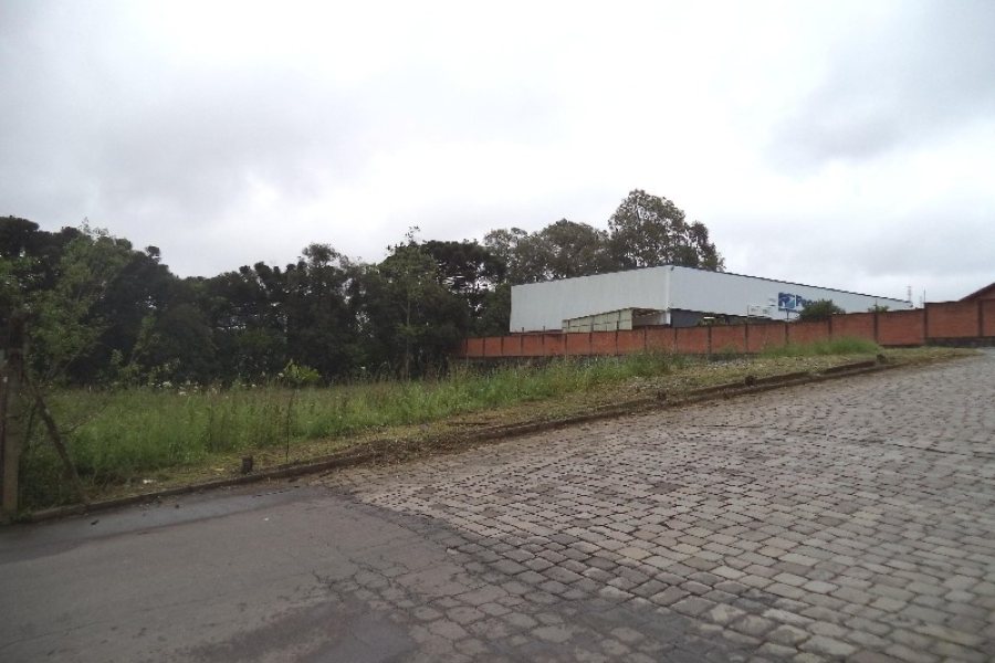 Terreno com 3739m², no bairro Vila Verde em Caxias do Sul para Alugar
