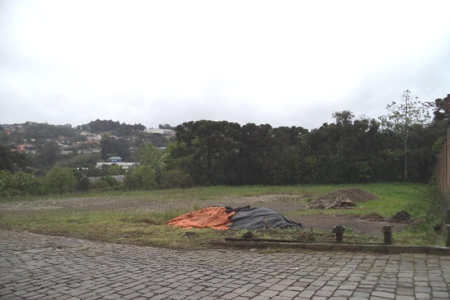 Terreno com 3739m², no bairro Vila Verde em Caxias do Sul para Alugar