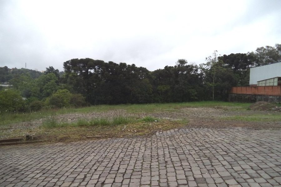 Terreno com 3739m², no bairro Vila Verde em Caxias do Sul para Alugar