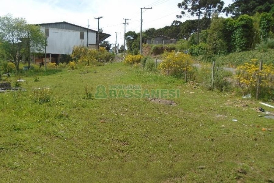 Terreno com 7500m², no bairro Ana Rech em Caxias do Sul para Alugar ou Comprar