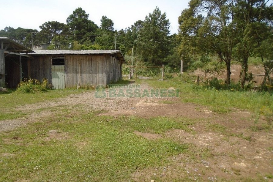 Terreno com 7500m², no bairro Ana Rech em Caxias do Sul para Alugar ou Comprar