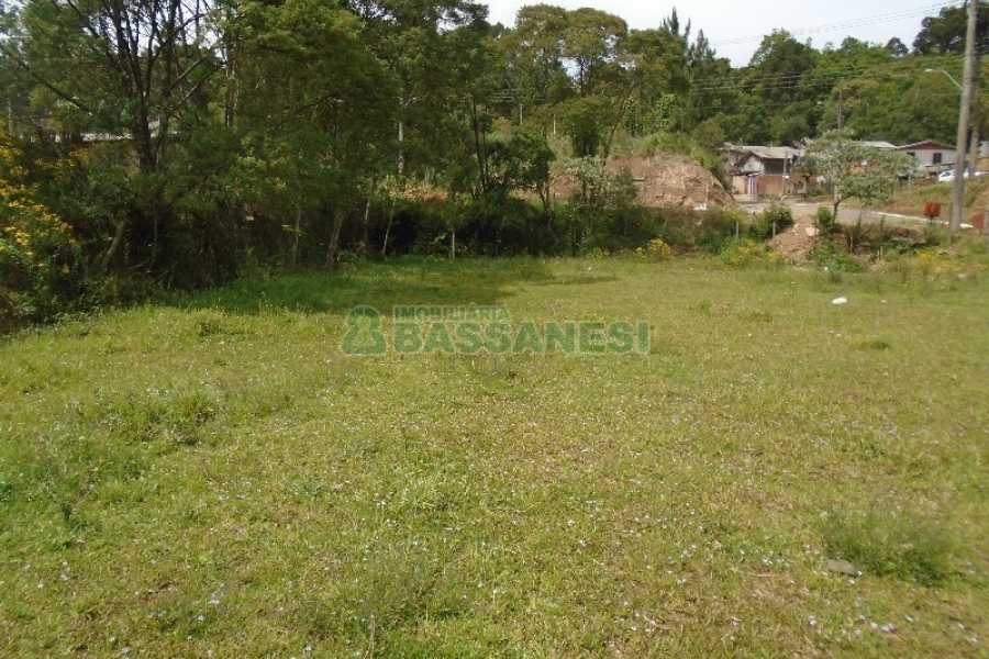 Terreno com 7500m², no bairro Ana Rech em Caxias do Sul para Alugar ou Comprar