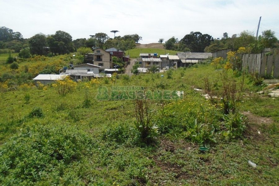 Terreno com 7500m², no bairro Ana Rech em Caxias do Sul para Alugar ou Comprar