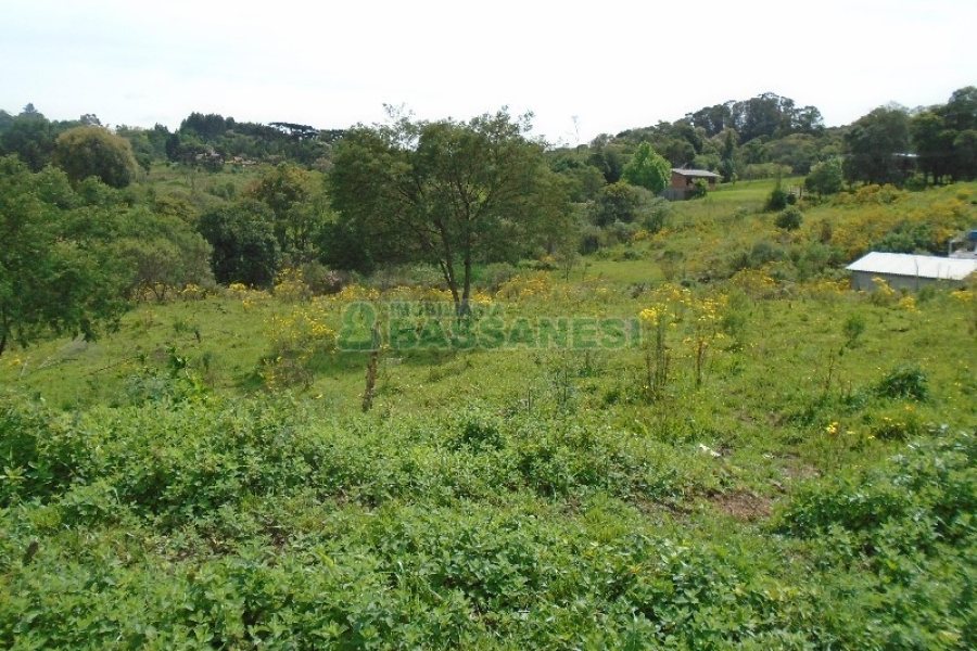 Terreno com 7500m², no bairro Ana Rech em Caxias do Sul para Alugar ou Comprar