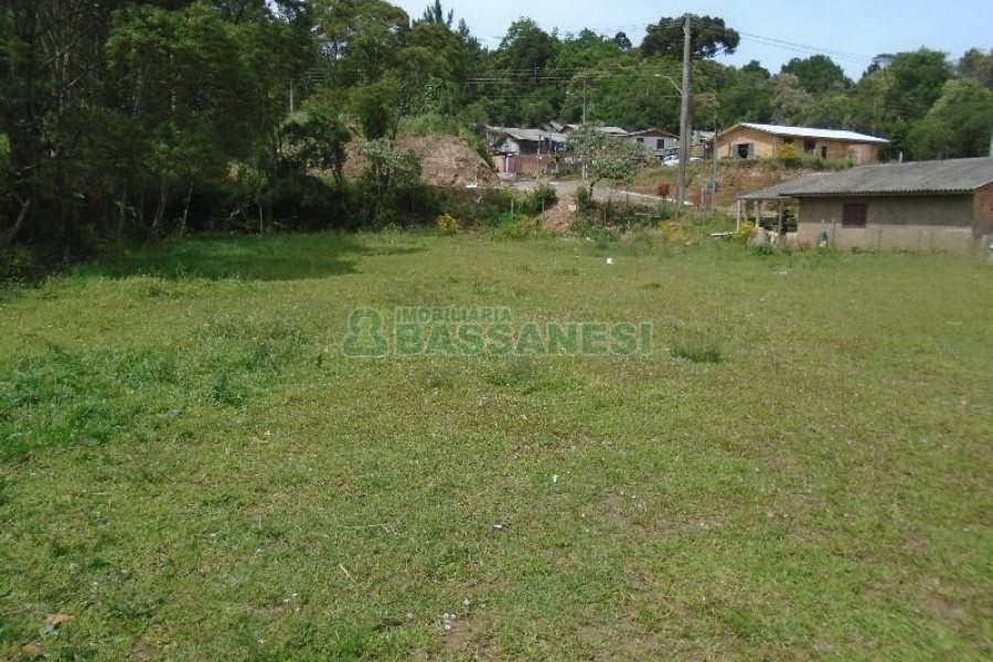 Terreno com 7500m², no bairro Ana Rech em Caxias do Sul para Alugar ou Comprar