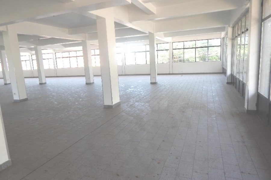 Loja com 630m², no bairro Centro em Caxias do Sul para Alugar