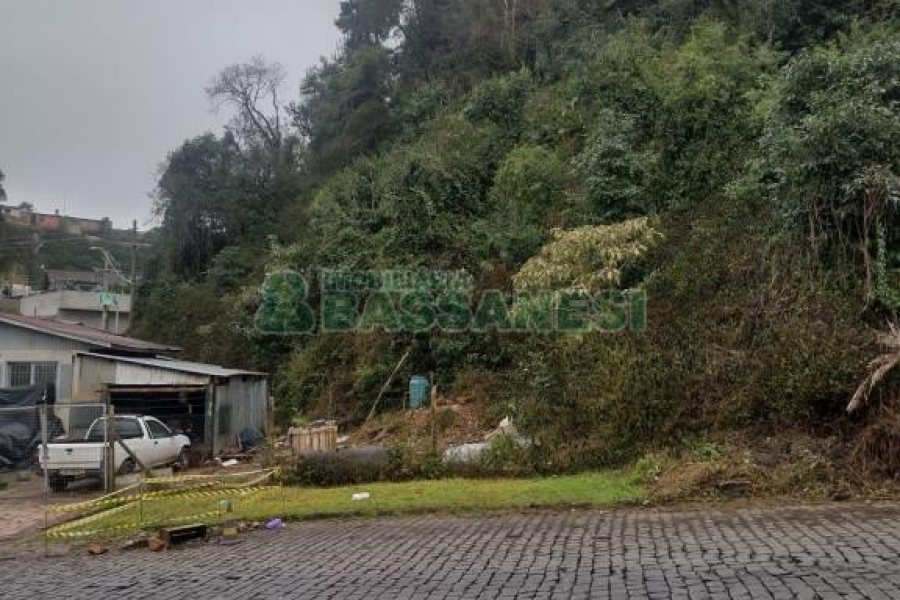 Casa com 250m², 3 dormitórios, 1 vaga, no bairro Pioneiro em Caxias do Sul para Comprar