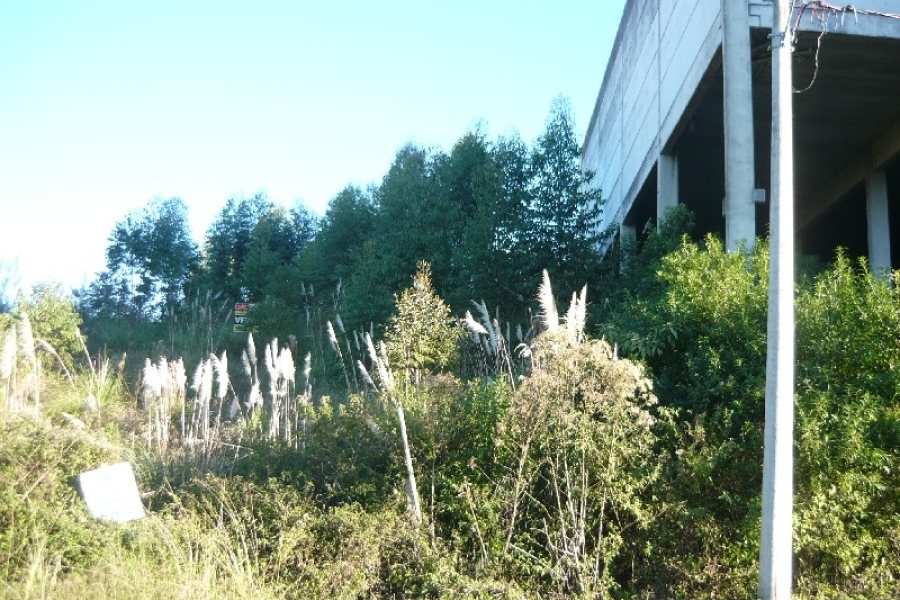 Terreno, no bairro Sanvitto em Caxias do Sul para Comprar