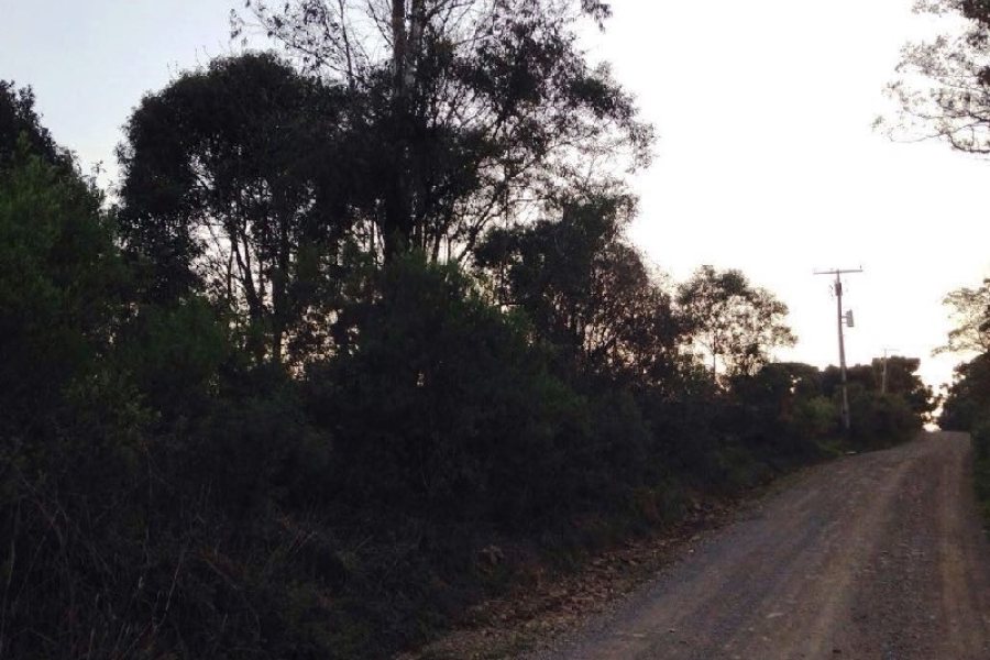 Terreno, no bairro Pedancino em Caxias do Sul para Comprar