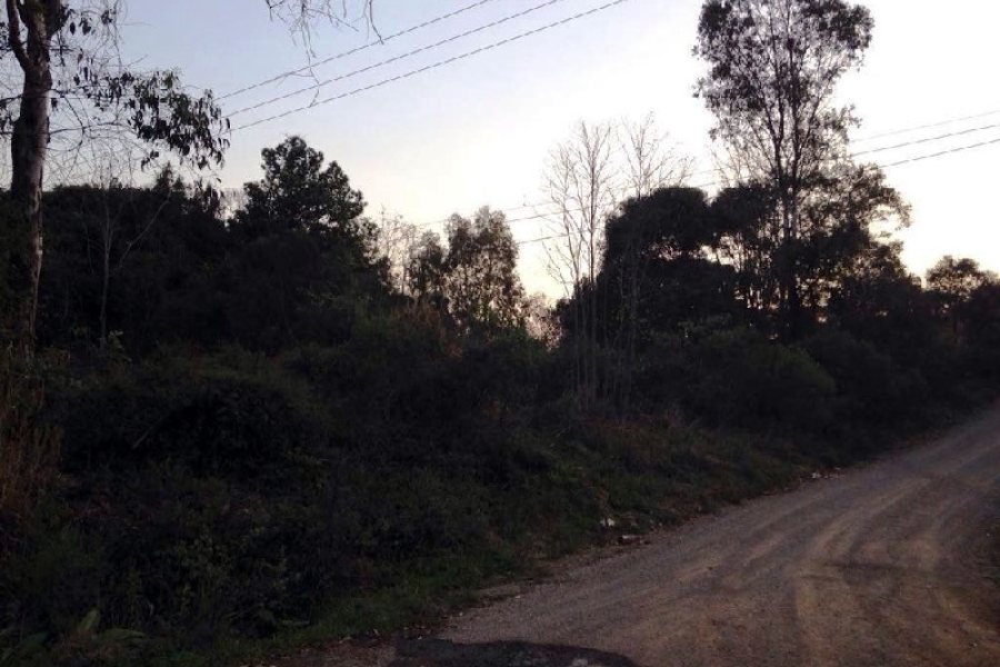 Terreno, no bairro Pedancino em Caxias do Sul para Comprar