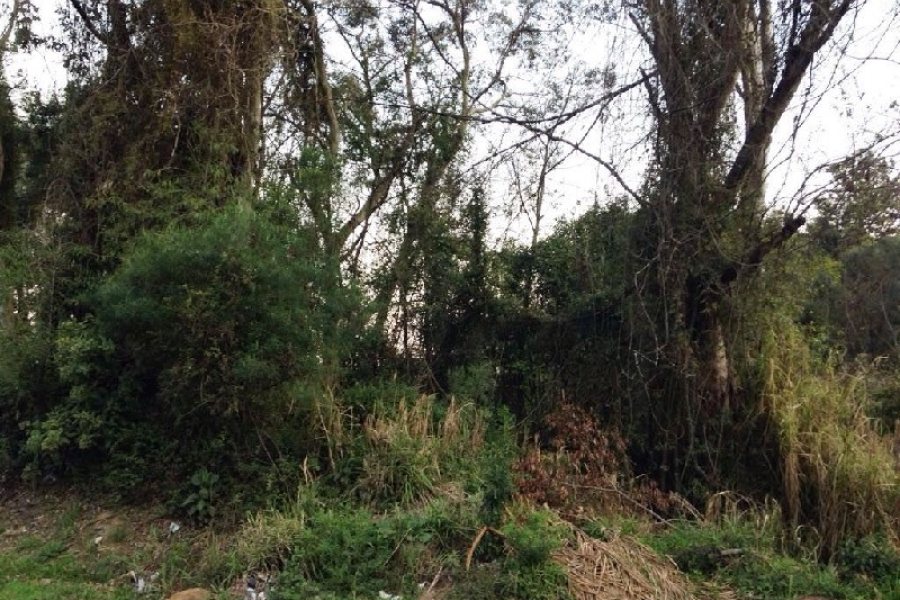 Terreno, no bairro Pedancino em Caxias do Sul para Comprar