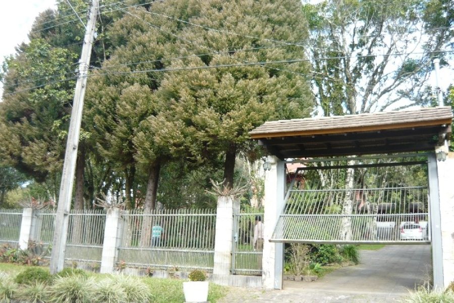 Chácara com 320m², 3 dormitórios, 4 vagas, no bairro Pedancino em Caxias do Sul para Comprar