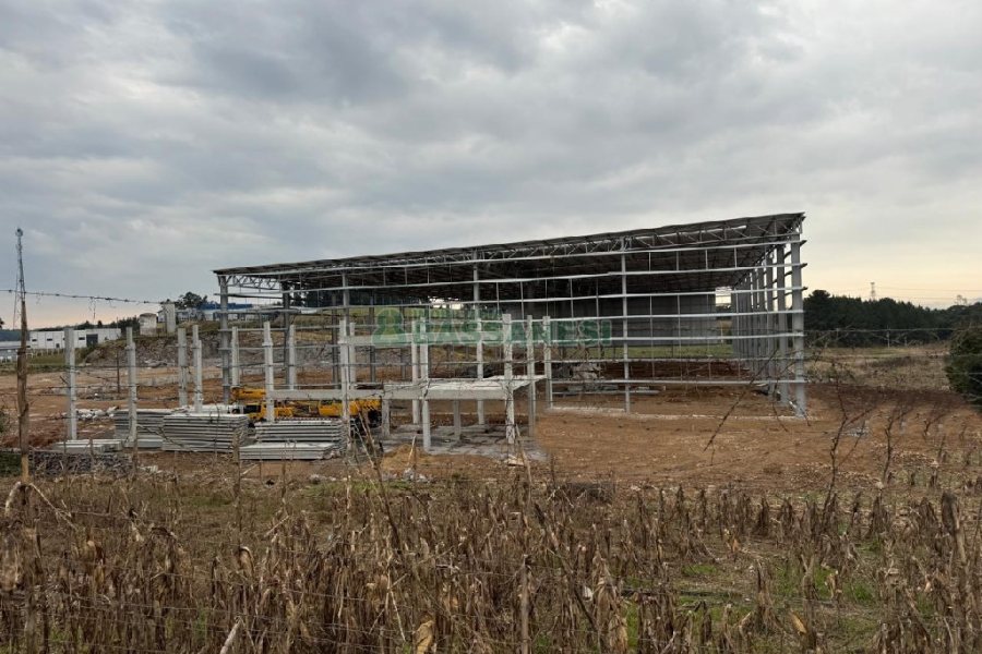 Terreno com 18000m², no bairro Sagrada Família em Caxias do Sul para Alugar