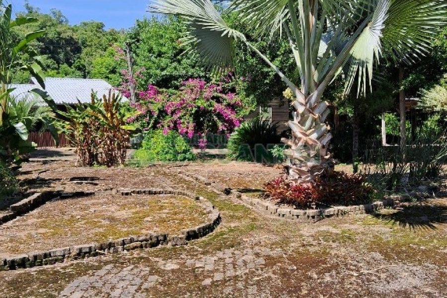 Terreno com 1950m², no bairro Vila Cristina em Caxias do Sul para Alugar