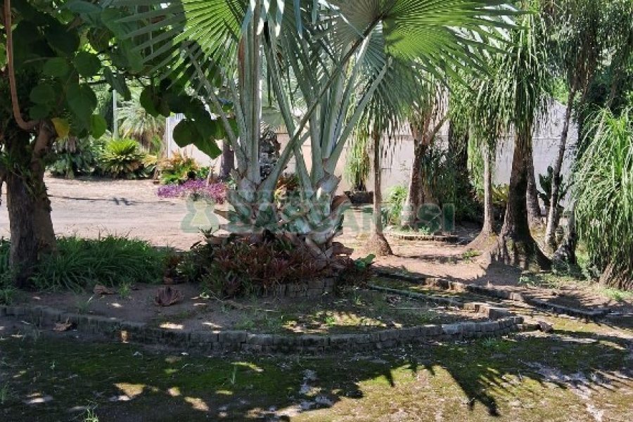 Terreno com 1950m², no bairro Vila Cristina em Caxias do Sul para Alugar