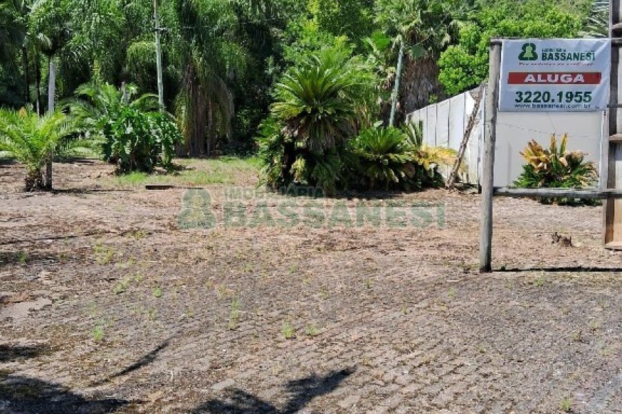 Terreno com 1950m², no bairro Vila Cristina em Caxias do Sul para Alugar