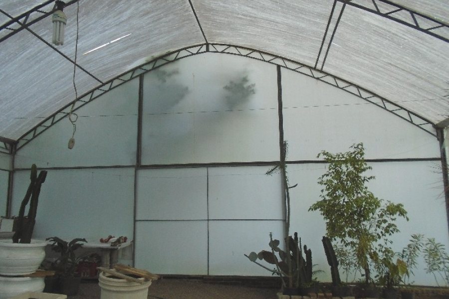 Terreno com 1950m², no bairro Vila Cristina em Caxias do Sul para Alugar