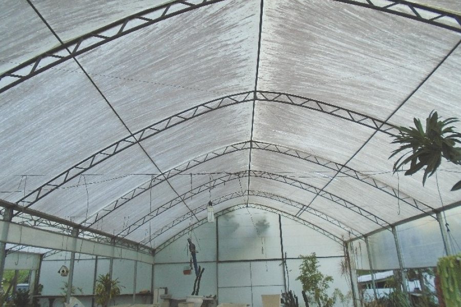 Terreno com 1950m², no bairro Vila Cristina em Caxias do Sul para Alugar