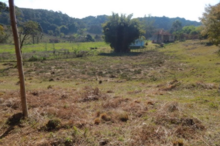 Terreno, no bairro Pedancino em Caxias do Sul para Comprar