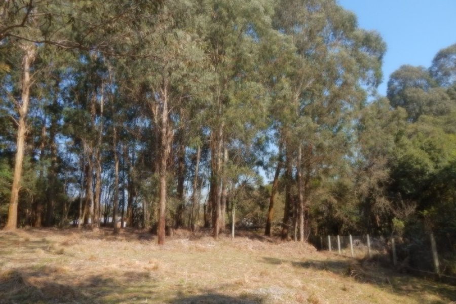Terreno, no bairro Pedancino em Caxias do Sul para Comprar