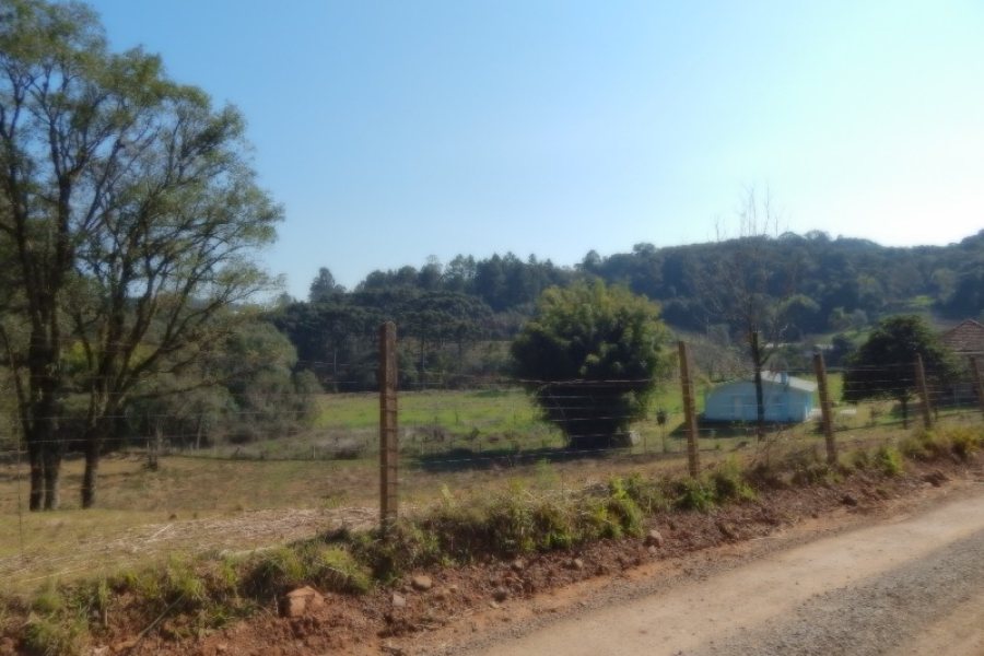 Terreno, no bairro Pedancino em Caxias do Sul para Comprar