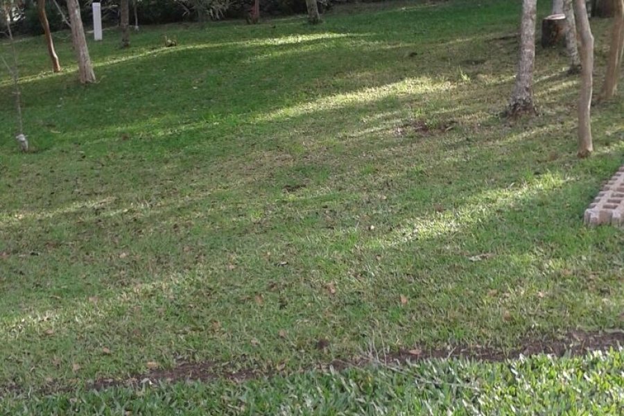 Chácara com 130m², 2 dormitórios, 2 vagas, no bairro Monte Bérico em Caxias do Sul para Comprar