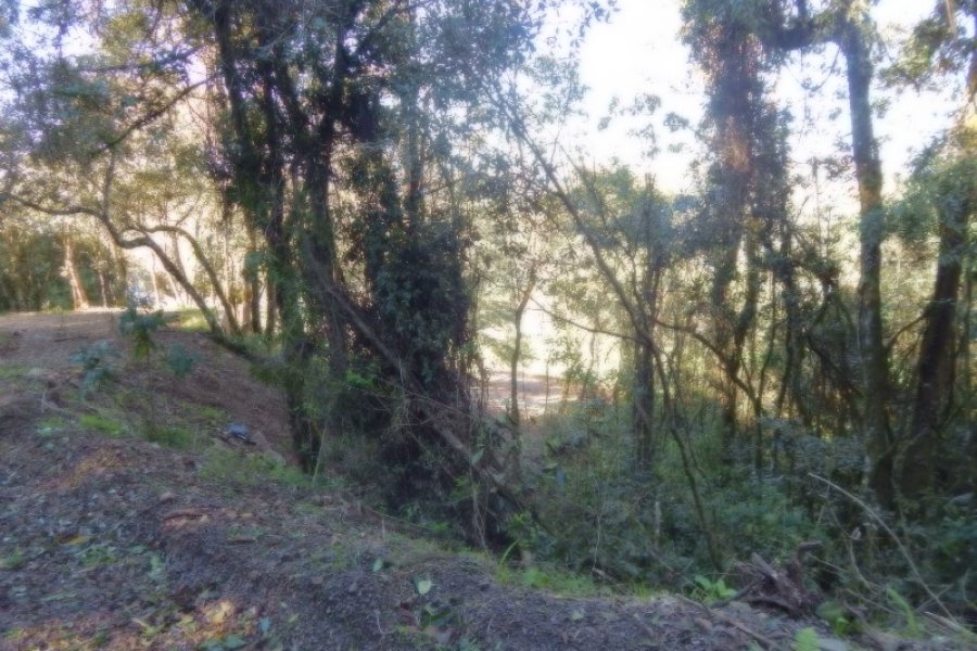 Terreno, no bairro Ana Rech em Caxias do Sul para Comprar
