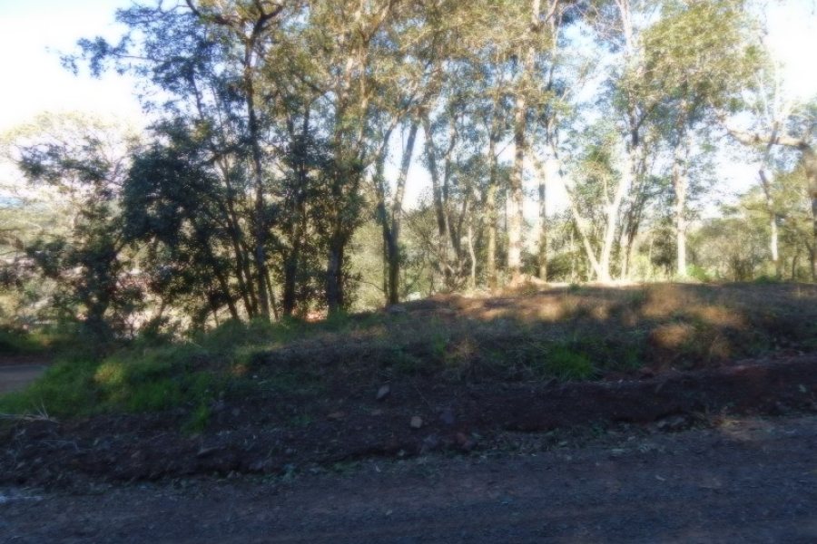 Terreno, no bairro Ana Rech em Caxias do Sul para Comprar