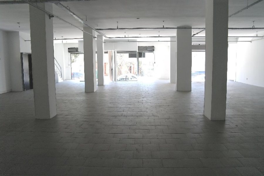 Loja com 1000m², no bairro Lourdes em Caxias do Sul para Alugar ou Comprar