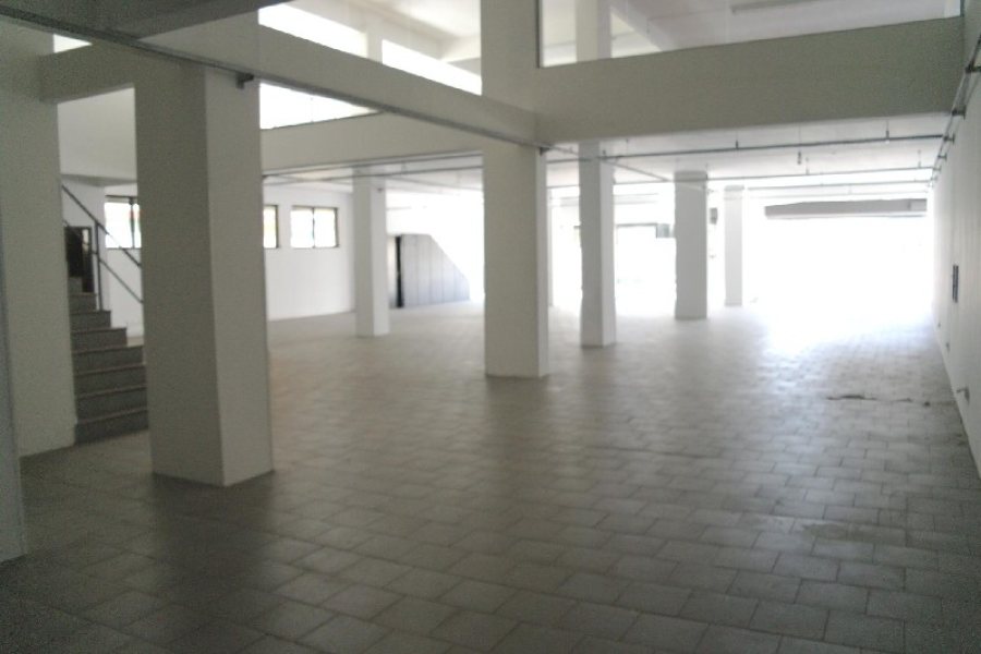 Loja com 1000m², no bairro Lourdes em Caxias do Sul para Alugar ou Comprar