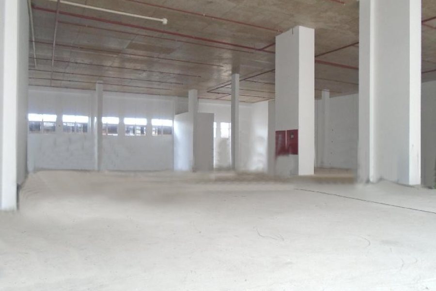 Loja com 501m², no bairro Cinqüentenário em Caxias do Sul para Alugar