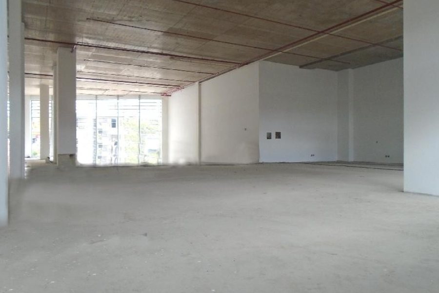 Loja com 501m², no bairro Cinqüentenário em Caxias do Sul para Alugar