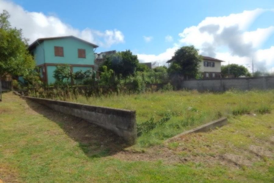 Terreno com 350m², no bairro Diamantino em Caxias do Sul para Alugar ou Comprar