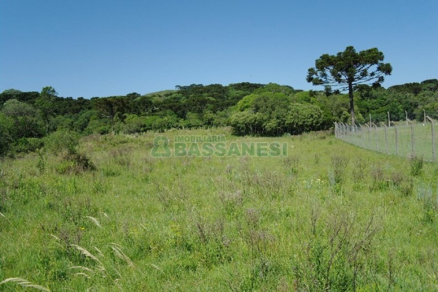 Chácara com 200m², 4 dormitórios, no bairro Vila Seca em Caxias do Sul para Comprar