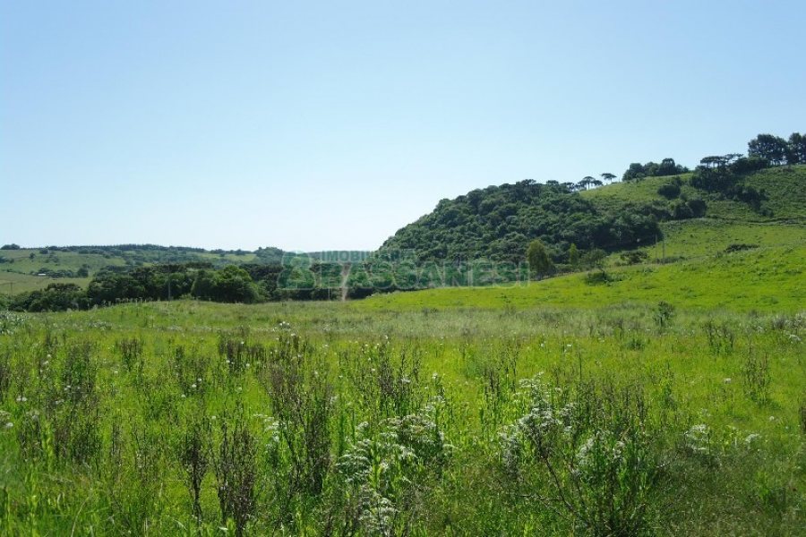 Chácara com 200m², 4 dormitórios, no bairro Vila Seca em Caxias do Sul para Comprar