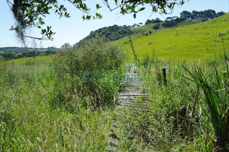 Chácara com 200m², 4 dormitórios, no bairro Vila Seca em Caxias do Sul para Comprar