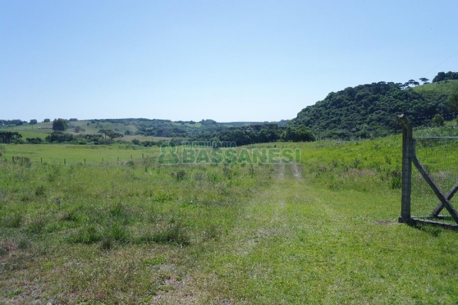 Chácara com 200m², 4 dormitórios, no bairro Vila Seca em Caxias do Sul para Comprar