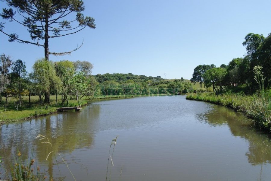 Chácara com 200m², 4 dormitórios, no bairro Vila Seca em Caxias do Sul para Comprar