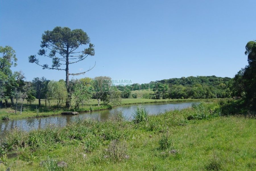 Chácara com 200m², 4 dormitórios, no bairro Vila Seca em Caxias do Sul para Comprar