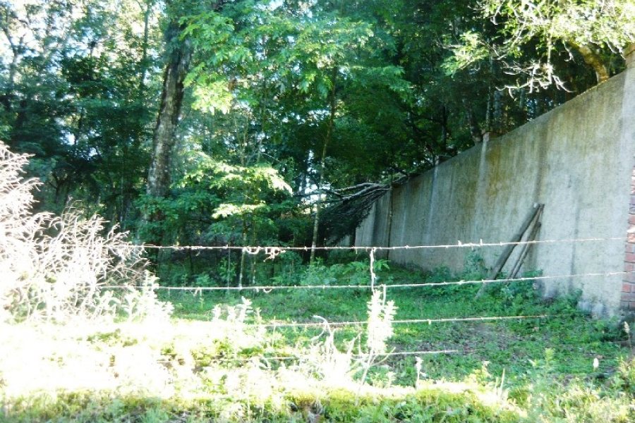 Chácara, no bairro Centro em Caxias do Sul para Comprar
