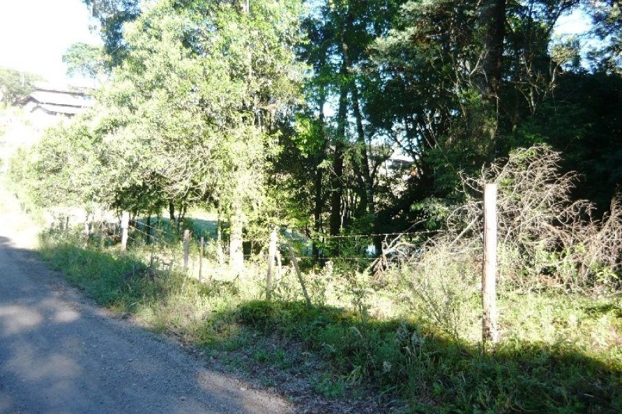 Chácara, no bairro Centro em Caxias do Sul para Comprar